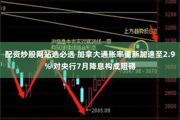 配资炒股网站选必选 加拿大通胀率重新加速至2.9% 对央行7月降息构成阻碍