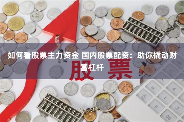 如何看股票主力资金 国内股票配资：助你撬动财富杠杆